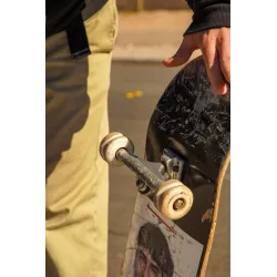 Sharkwheels Twisted Formula 54mm 99A Wielen kopen bij Sickboards Skateboard shop