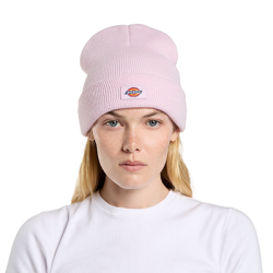 comprar Dickies Gibsland Beanie en la Sickest tienda de longboard de Europa