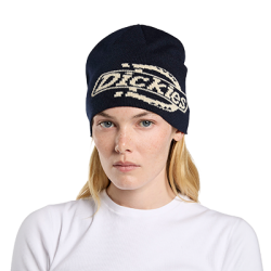 Dickies Summerdale Logo Beanie