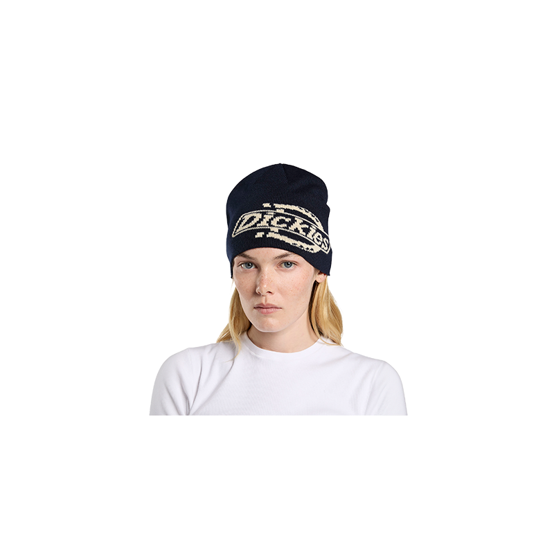 Dickies Summerdale Logo Beanie