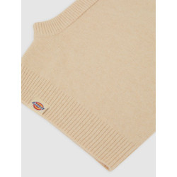 Dickies Knitted Hood