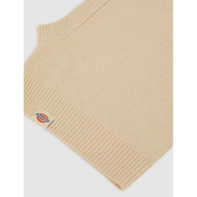 Dickies Knitted Hood