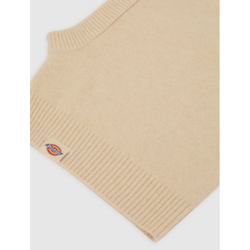 Dickies Knitted Hood