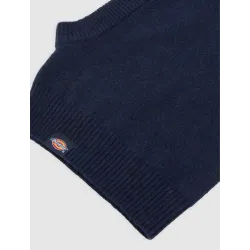 Dickies Knitted Hood