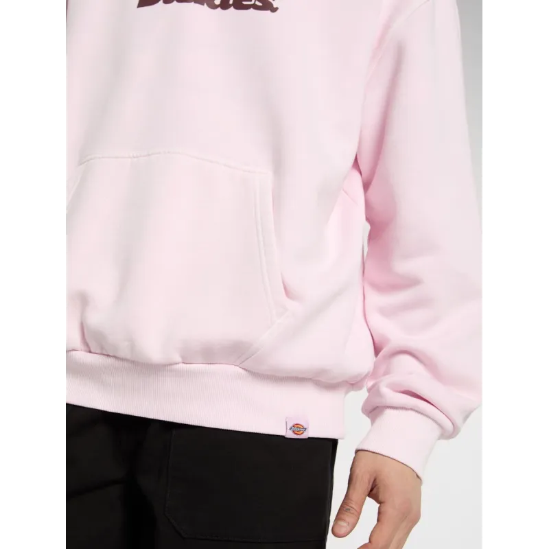 Dickies Slayden Hoodie