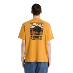 Dickies Darrtown T-Shirt