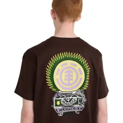 Element Fortune T-Shirt Brown