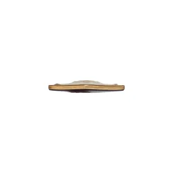 Prism Roger Jones Pro Model 38" Longboard Deck