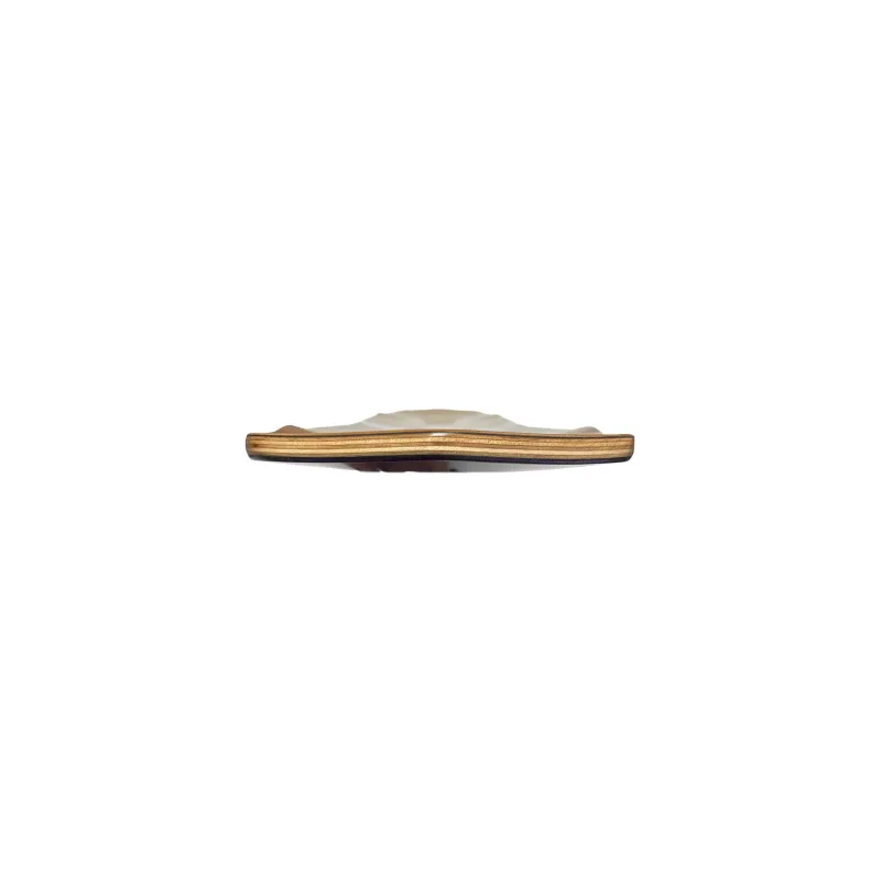 Prism Roger Jones Pro Model 38" Longboard Deck