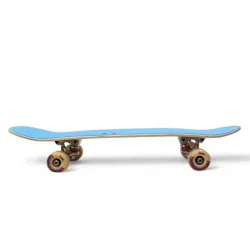 Birds Mini 8.25" Skateboard Complete