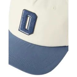 Dickies Latty Dad Cap