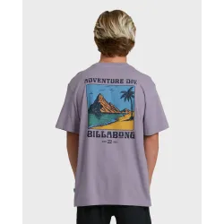 Billabong Post Cards T-Shirt Purple Ash