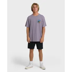 Billabong Post Cards T-Shirt Purple Ash
