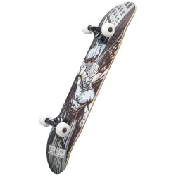 Buy Tony Hawk SS 540 Skateboard Complete at the Sickboards Longboard Shop