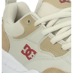 DC Shoes Ascend Shoes