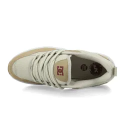 DC Shoes Ascend Shoes
