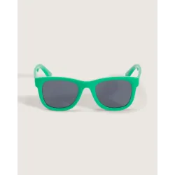 Vans Spicoli 4 Sunglasses Vivid Verdant