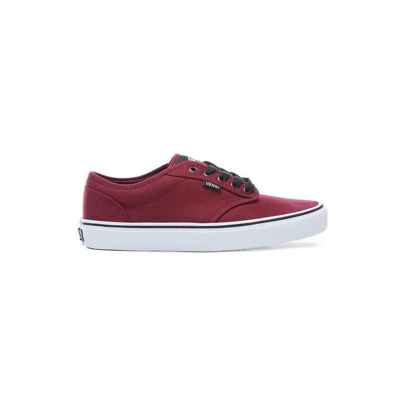 Vans Winston Shoes