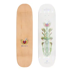 Arbor Pro Amelia Brodka Venus 8.5" Skateboard Deck