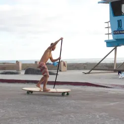 Kaufen Hamboards Street Sweeper Pro Paddle auf Europas Sickest Skate Shop