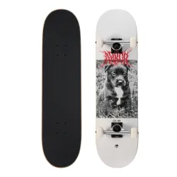 Arbor Puppy 8.25" Skateboard Complete