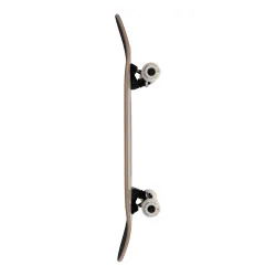 Arbor Daisy Mini 7.5" Skateboard Complete