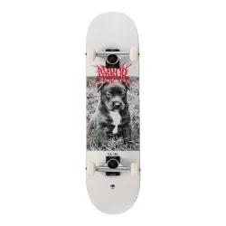 Arbor Puppy 8.25" Skateboard Complete