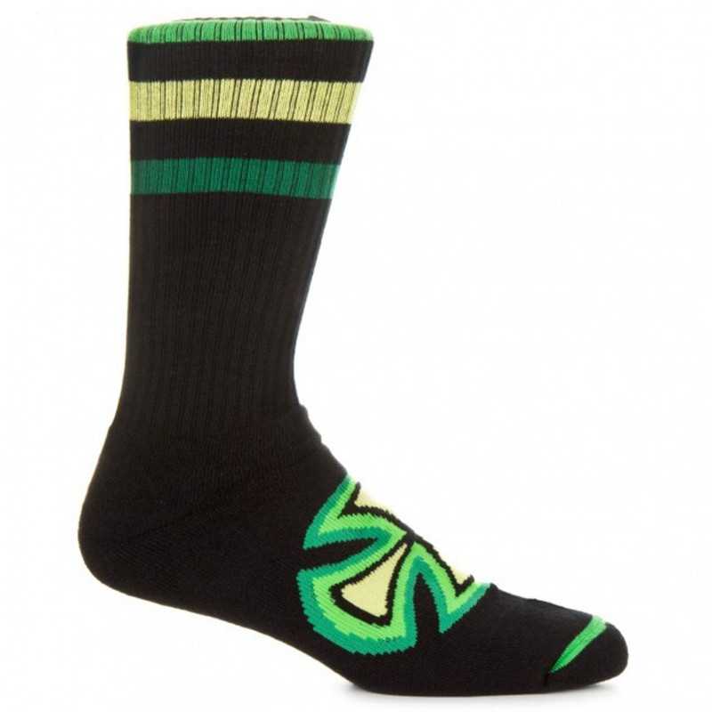 Independent Colored Stripe Crew Socks