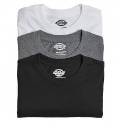 Dickies MC T-Shirt 3 Pack