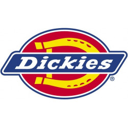 Dickies Logo Sticker Small