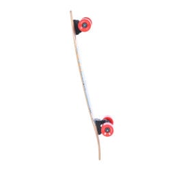 Bustin Fish 32" Surfy Surfy - Complete