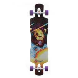 Original Freeride 41" Rocker Concave "Mutant Space Lion" - Complete