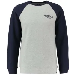 Dickies Hickory Ridge Dark Navy