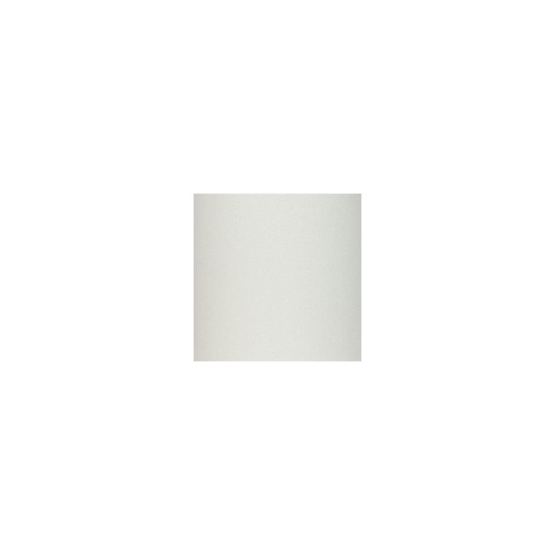 Steez Clear Griptape 11" (Per 10cm) Steez Clear Griptape 11" (Per 10cm)