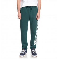 DC Shoes Havelock Tracksuit Bottoms June Bug Green