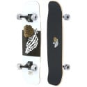 DB Longboards Crook 32" Cruiser Skateboard Complete