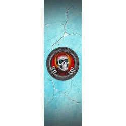 Powell Peralta Pool Light Ripper Griptape Sheet