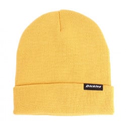 Dickies Alaska Beanie Dijon Black Label