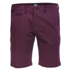 Dickies Palm Springs Shorts