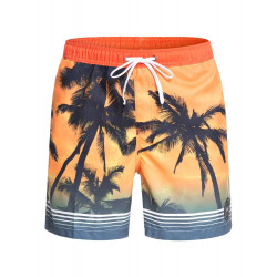 Quiksilver Paradise Volley 17" Boardshorts