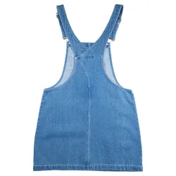 Santa Cruz Women's Gardener Dress Light Denim