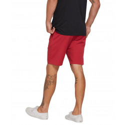 Volcom Frickin Mdrn Stch 19" Shorts Burgundy