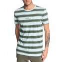 Quiksilver Maxed Out T-Shirt Thyme