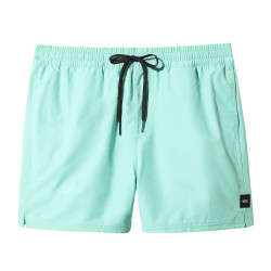 Vans Primary Volley II Boardshorts