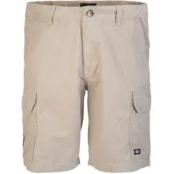 Dickies New York Shorts