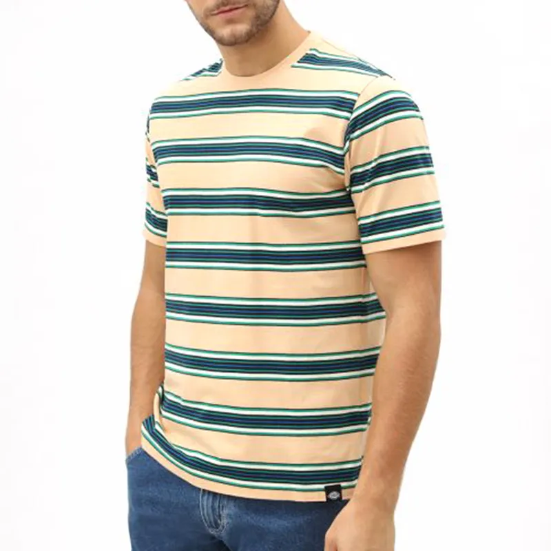 Dickies Lithia Springs T-Shirt