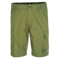Dickies New York Shorts