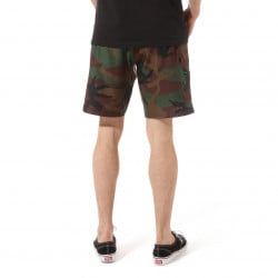 Vans Surf Trunk 2 Shorts