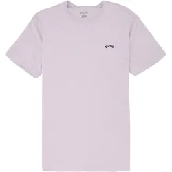 Billabong Arch Washed T-Shirt