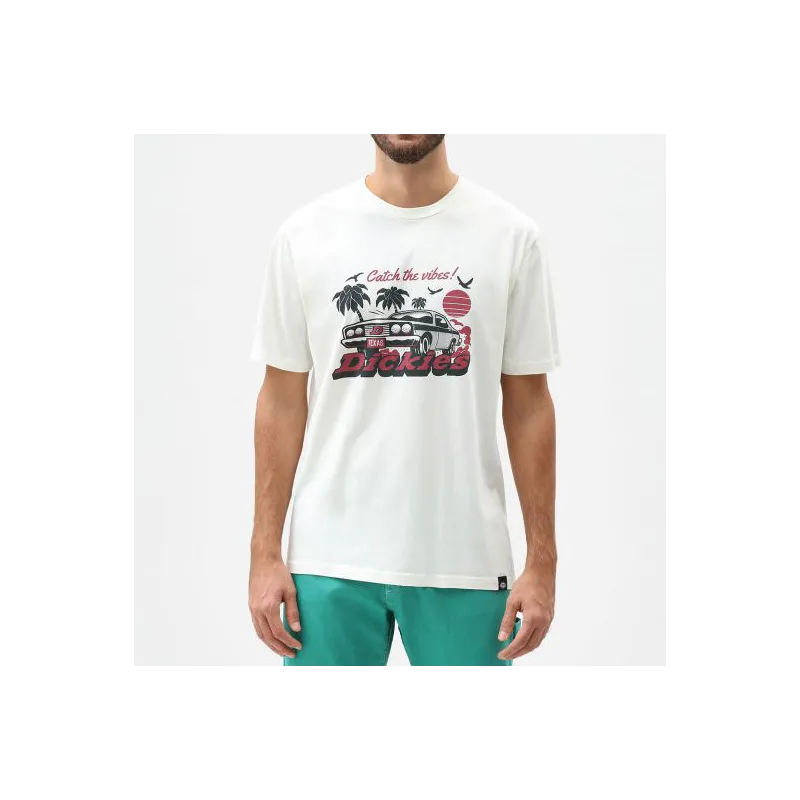 Dickies Tifton Mens T-Shirt